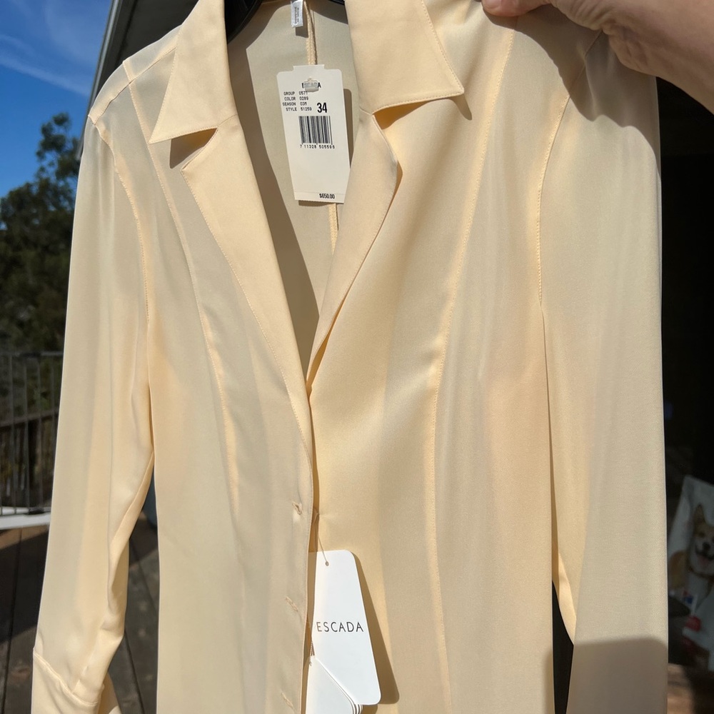 Beautiful Escada Blouse - Picture 4 of 5